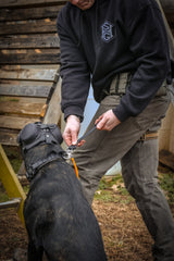 ESSE K9 Quick Adjust Hip Lead